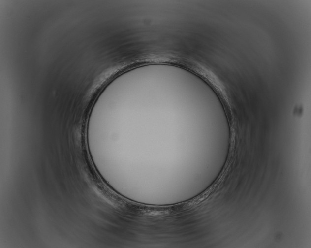 X0000091710155200708241004