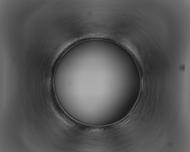 X0000091710156200708241004