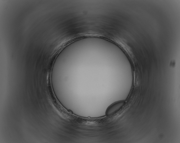 X0000091710157200708241004