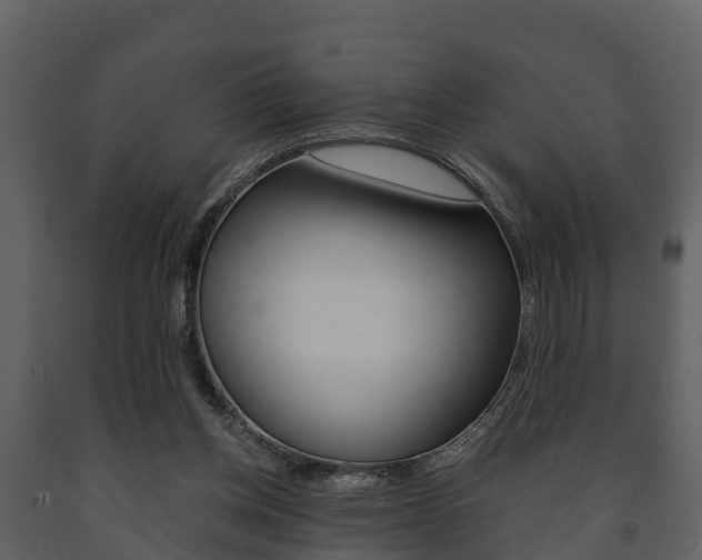 X0000091710158200708241004