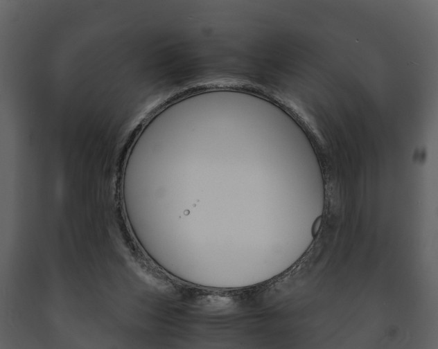 X0000091710159200708241004