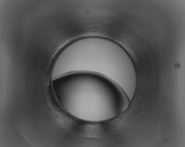 X0000091710160200708241004