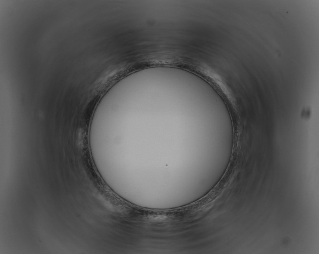 X0000091710161200708241004