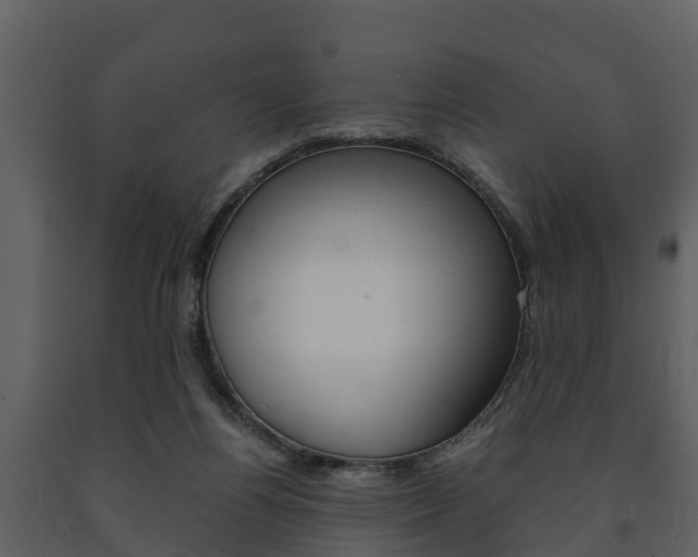 X0000091710164200708241004