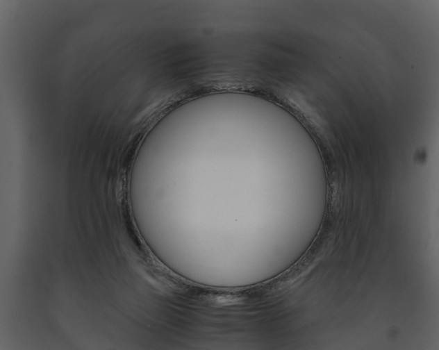 X0000091710165200708241004