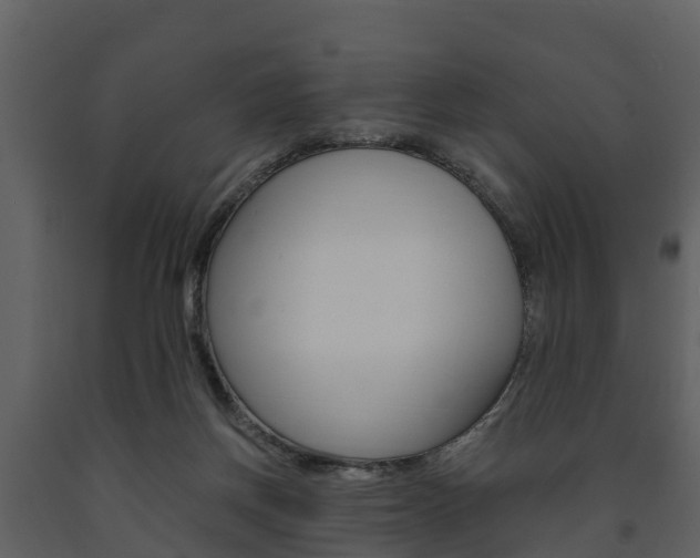 X0000091710166200708241004