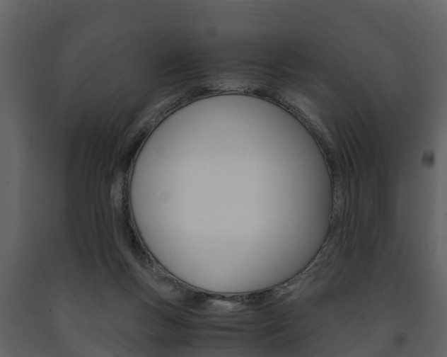 X0000091710167200708241004