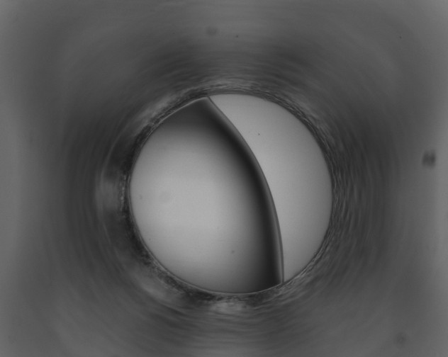 X0000091710168200708241004
