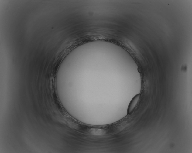 X0000091710169200708241004