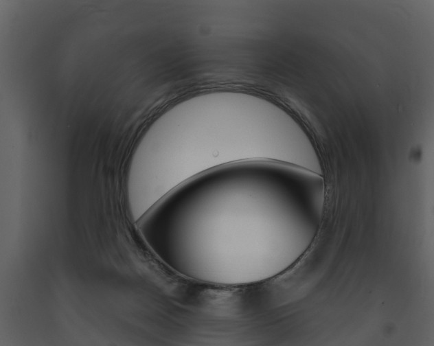 X0000091710170200708241004