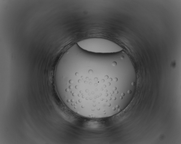 X0000091710171200708241004