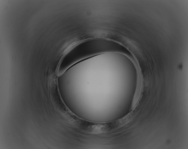 X0000091710172200708241004