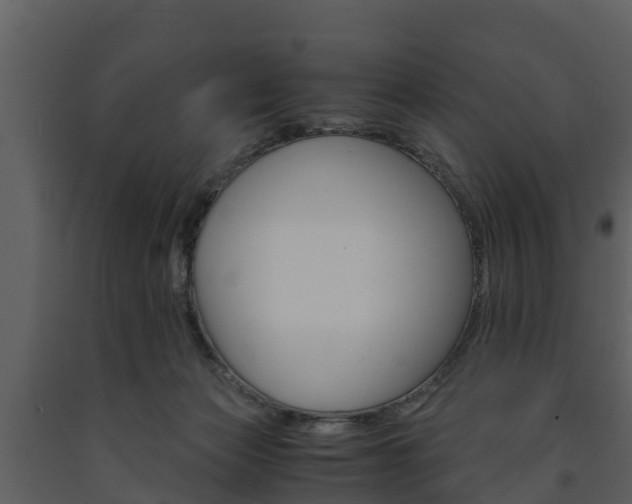 X0000091710173200708241004