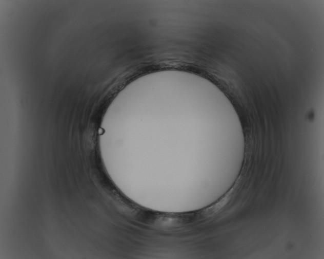 X0000091710174200708241004