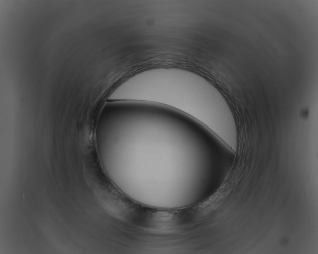 X0000091710176200708241004