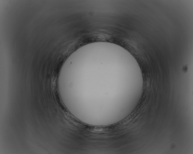 X0000091710177200708241004