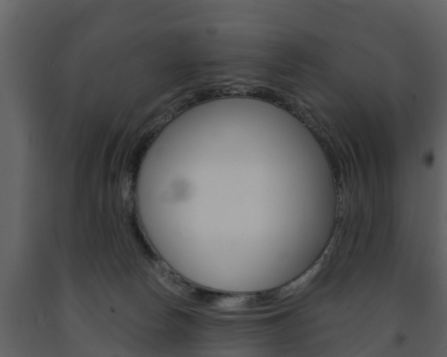 X0000091710178200708241004