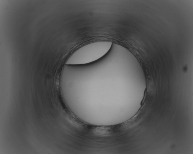 X0000091710179200708241004
