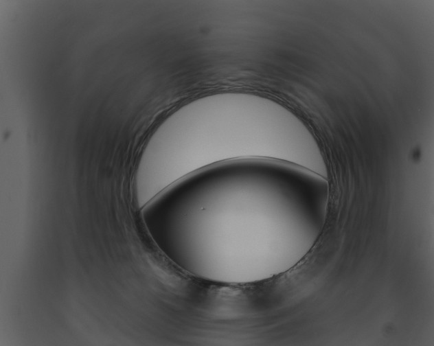 X0000091710180200708241004