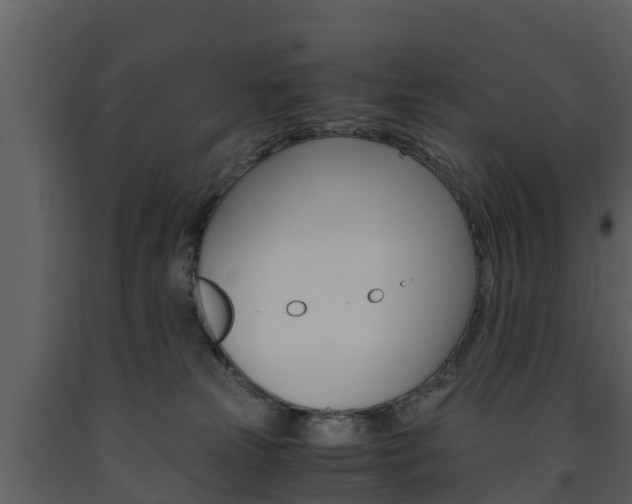 X0000091710181200708241004