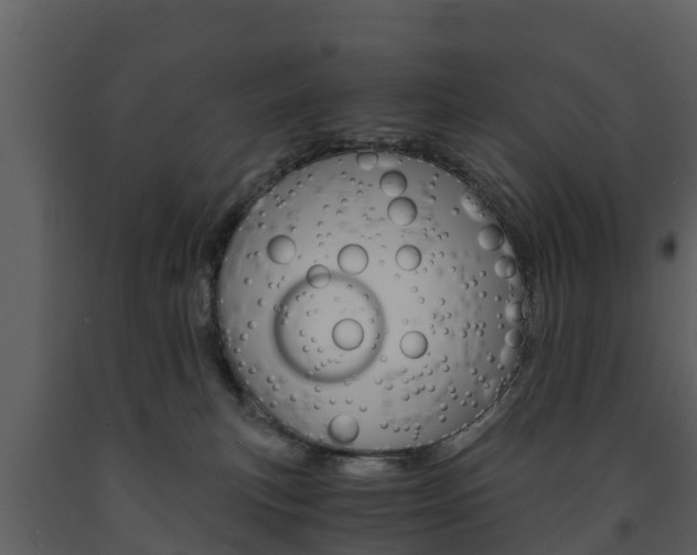 X0000091710183200708241004