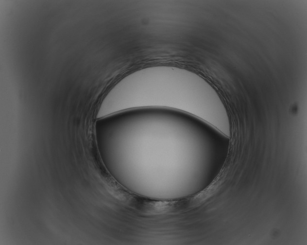 X0000091710184200708241004