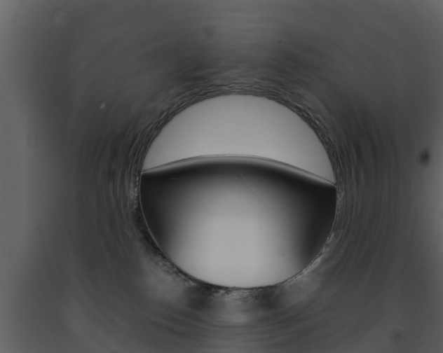 X0000091710186200708241004
