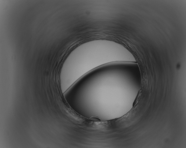 X0000091710188200708241005