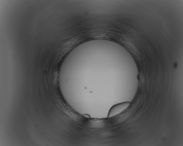 X0000091710189200708241005