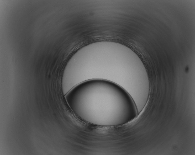 X0000091710190200708241005