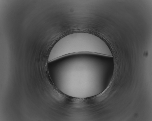 X0000091710192200708241005