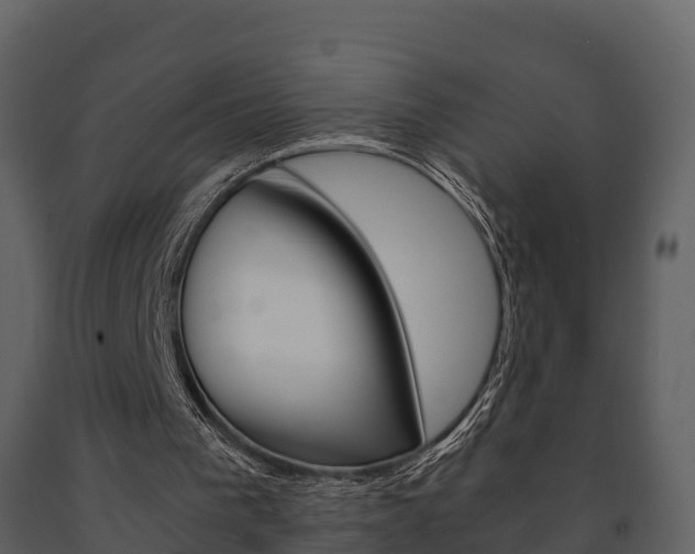 X0000091710193200708241004
