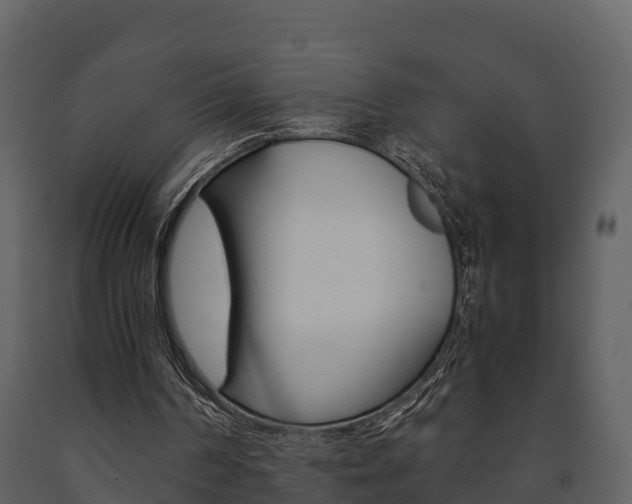 X0000091710194200708241004