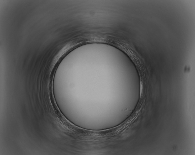 X0000091710195200708241004