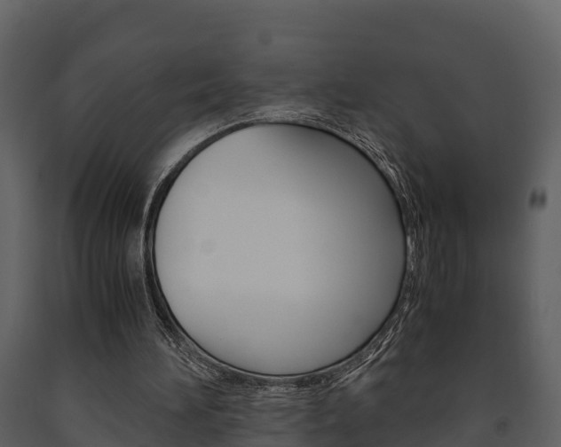 X0000091710196200708241004