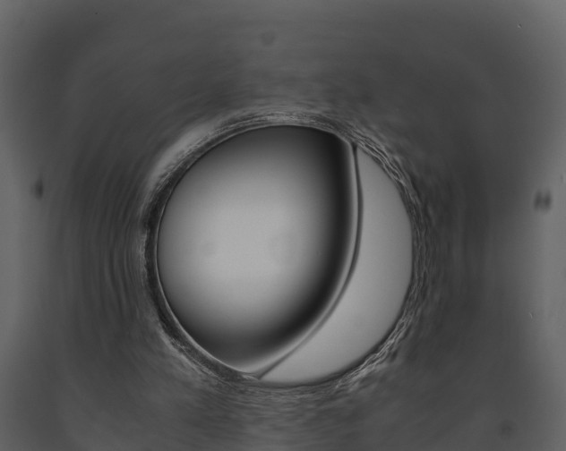 X0000091710197200708241004