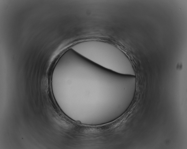 X0000091710198200708241004
