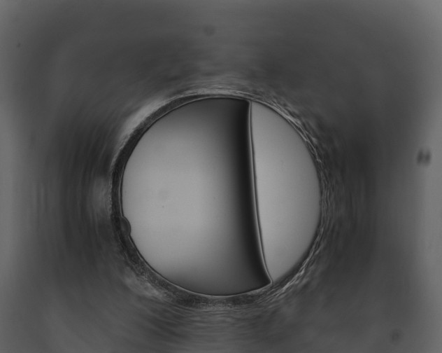 X0000091710200200708241004