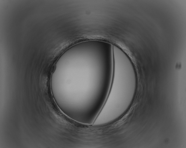 X0000091710201200708241004