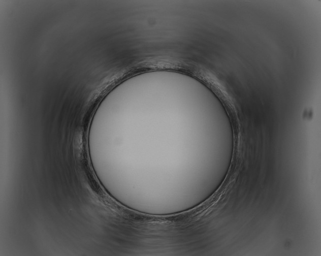 X0000091710202200708241004