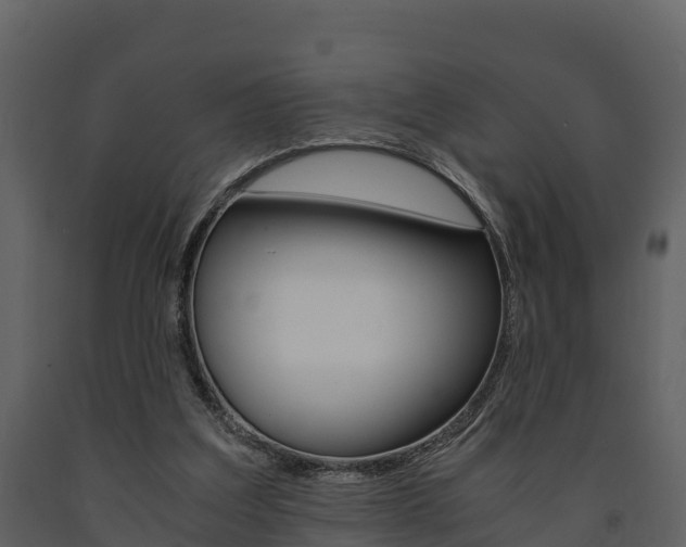 X0000091710203200708241004