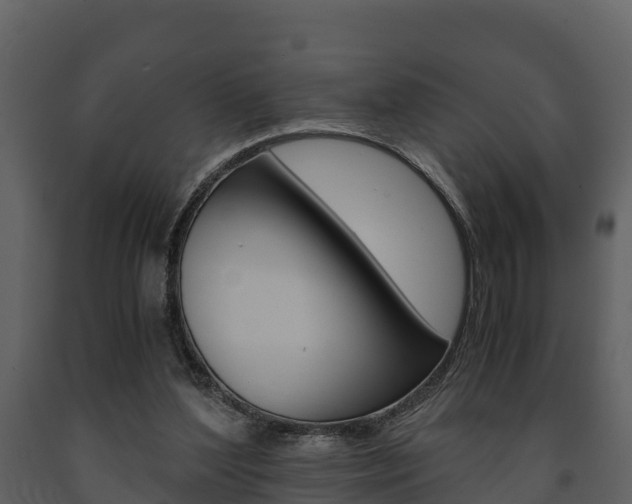 X0000091710204200708241004