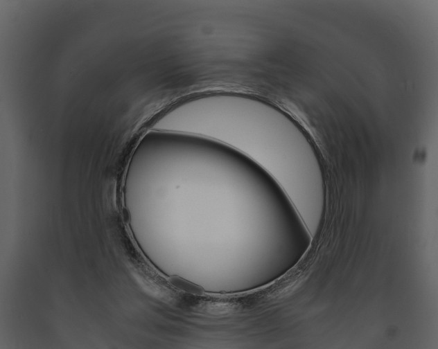 X0000091710205200708241004
