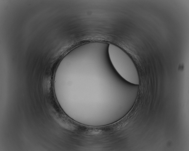 X0000091710206200708241004