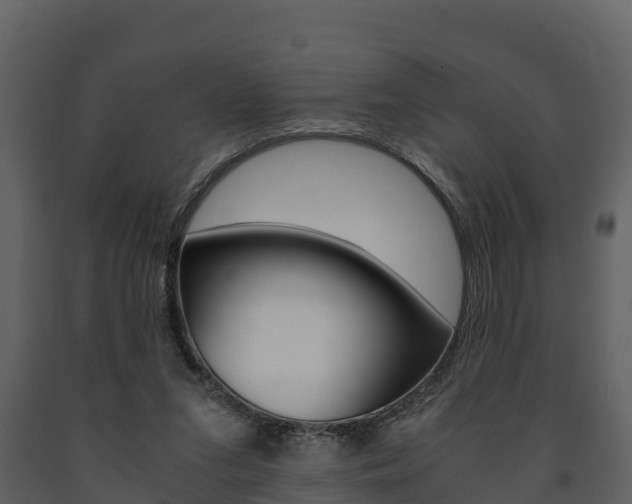 X0000091710207200708241004