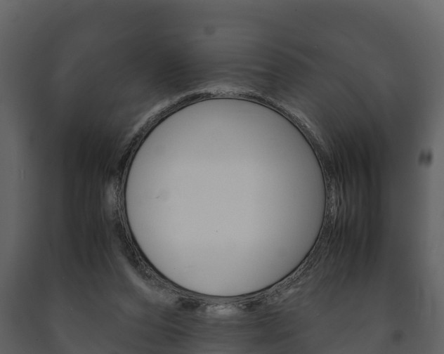 X0000091710208200708241004