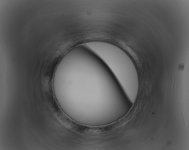 X0000091710209200708241004