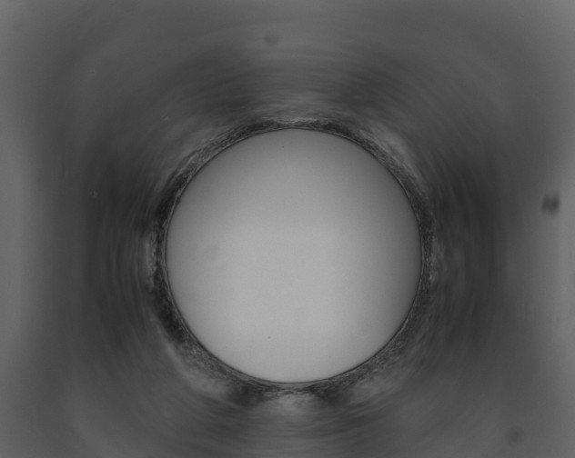 X0000091710210200708241004