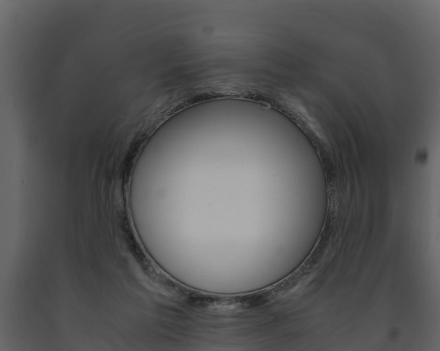 X0000091710213200708241004
