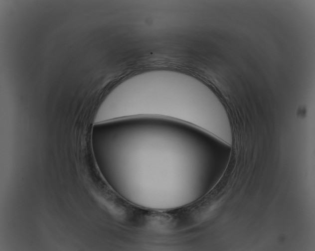 X0000091710215200708241004